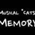 Original Key Instrumental Memory From The Musical Cats