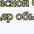 Обзор на Лесного Снюсоеда лучший для домашнего содержания