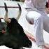 French Bullfighting Without Blood Without Blood The Bull Always Returns Alive To The Field