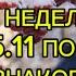 ТАРО ПРОГНОЗ НА НЕДЕЛЮ С 25 11 ПО 1 12 2024 ДЛЯ ВСЕХ ЗНАКОВ ЗОДИАКА