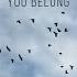 YOU BELONG