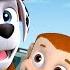 PAW Patrol Baby Animals Rescues Adventures W Marshall And Chase 2 90 Minutes Nick Jr