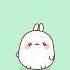 The Dance Floor Was NOT Ready For This Molang M4p