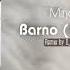 Mirjalol Nematov Barno Remix