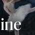 Interview With Chloe Misseldine Swan Lake Debut Missing Pointe Shoes