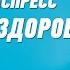 Бабушка здорова группа Экспресс Веселая танцевальная задорная песня Одесские песни Odessa Music