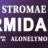 Stromae Formidable Lyrics