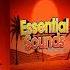 Yan Bruno Aurelio Mendes Essential Sounds Tribal House Vol 02