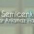 Semicenk Onlar Anlamaz Halden Halil Yıldırım Remix