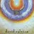 David Sylvian Wave Album Version 1986 HQ