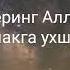 Абдували кори Аллох кимни Итга ку ппакка у хшатябди