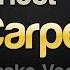 The Carpenters I Won T Last A Day Without You Karaoke Version