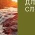 Иакова 1 19 21 Препятствия для восприятия Слова Андрей Вовк Слово Истины