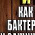 Кишечник и мозг Как кишечные бактерии исцеляют и защищают ваш мозг Дэвид Перлмуттер Аудиокнига