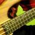 Red Hot Chili Peppers Californication Bass Cover Play Along Tabs In Video