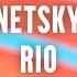 Netsky Rio Ft Digital Farm Animals