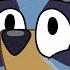 LIVE Bluey Full Episodes In HD 24 HOURS Best Bluey Episodes Bluey