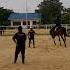 INTIP GADIS CANTIK SEDANG BELAJAR MENUNGGANG KUDA EQUESTRIAN HORSE LOVE HORSE RIDING PANDESA