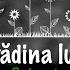 Viața De Poveste A Paulei Hriscu Acest Copil Frumos Al Apusenilor În Grădina Lui Ion Ep 1