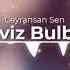 Perviz Bulbule Ceyransan Sen Remix