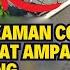 GEMPAR RAKAMAN CCTV LELAKI CURI BAJU DEKAT AMPAIAN BUAT RAMAI BENGANG