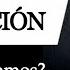 PSICOLOGÍA De La MOTIVACIÓN Qué Influye En Nuestro COMPORTAMIENTO Y Qué NECESITAMOS Realmente