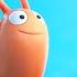 The Snail Sneaks Off With The Whale Gruffalo World Cartoons For Kids WildBrain Zoo