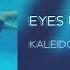 Kaleidoscope Grey Eyes Underwater