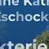 Dr Anne Katharina Zschocke Bakterien Und Mensch