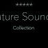 Nature Sounds Rain Forest Birdsong Dark Black Screen Relaxing Calm Sleeping Sound Johnnie Lawson