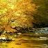 4K Autumn Forest River Ambience Gentle Creek Nature Sounds Relaxing For Sleep