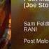 Sam Feldt Feat RANI Post Malone Joe Stone Remix