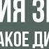 Что такое Delay Дилэй Теория Звука