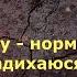 АНЕКДОТИ УКРАЇНСЬКОЮ ЗБІРКА 2 НАЙКРАЩИХ анекдотів по українськи Сучасний український гумор