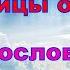 Пословицы о Родине 22 пословицы Сборник пословиц и поговорок о Родине С озвучиванием текста