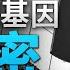 明居正揭中共百年統戰理論 五法寶 滲透操控世界 李明哲 中共藉 交流 統戰 安插監控 親中也會被抓 明居正 李明哲 新聞大破解