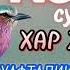 ЖУМА КУНИДА КАХФ СУРАСИНИ ТИНГЛАНГ ИККИ ЖУМА ОРАСИДАГИ ГУНОХЛАР КЕЧИРИЛАДИ