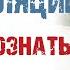 6 видов манипуляций в общении МАНИПУЛЯЦИИ в отношениях Как не попасть в ловушку манипулятора