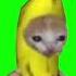 Running Banana Cat Meme Green Screen