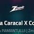 Alex De La Caracal Costel Biju SUNT FORTA PAMANTULUI Zmanele REMIX