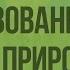 Популяция как форма существования видов в природе Видеоурок по биологии 9 класс