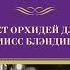 Джеймс Хэдли Чейз Нет орхидей для мисс Блэндиш Аудиокнига