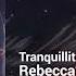 Rebecca Mardal Tranquillity Coast Dreamy Peaceful Ambient