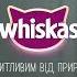 ИТВ Переход в 16 9 Смена логотипа Whiskas TV Украина 01 01 2022