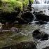 Forest River Nature Sounds Mountain Stream Waterfall 8 Hr Relaxing Birds Water Sounds For Sleeping