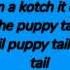 Demarco Puppy Tail Lyrics