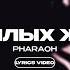 PHARAOH В ПРОШЛЫХ ЖИЗНЯХ Lyrics Video текст песни