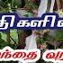 அரச மரம மற ற ம வ ப ப மரம ம ம ம ர த த கள ன அம சம க ழந த ப க க யம த ர மணத தட அகல ம