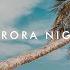 EDM 2018 Alisha Tine Sus Umbrela Aurora Night Remix