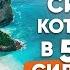 КУРС ДНК ДЕНЕГ Урок 2 Невидимая сила которая в пять раз сильнее